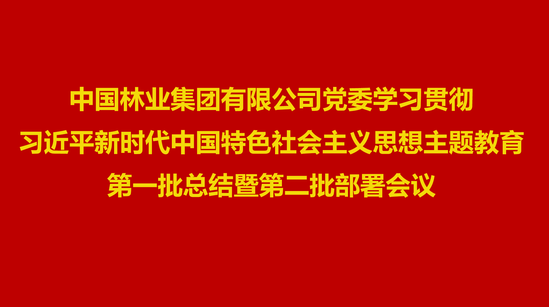 召开学习贯彻习近平新时代中国特色社会主义思想主题教育第一批总结暨第二批部署会议